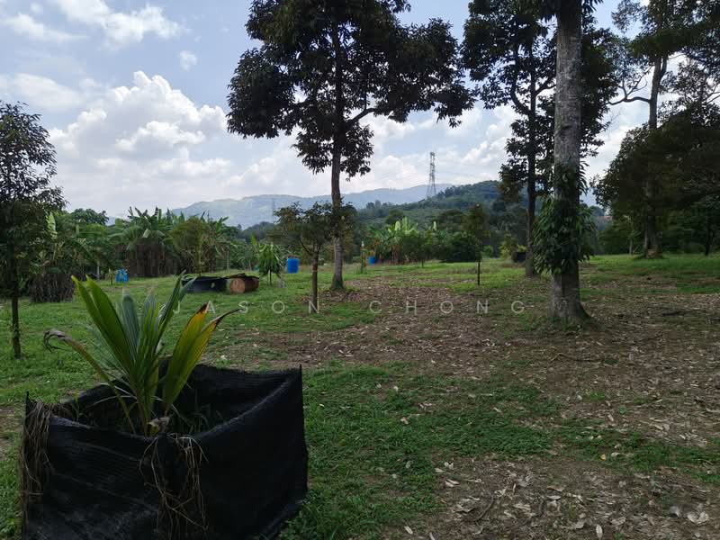 Agricultural Land for Sale in Lenggeng (Negeri Sembilan) - Jason Chong - Exterior - PropertyGuru.com.my