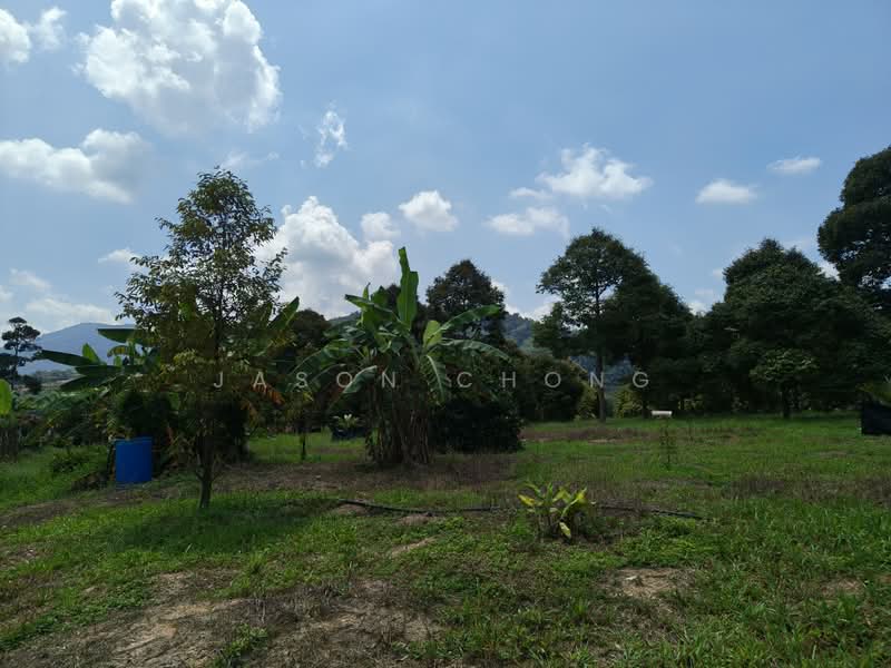 Agricultural Land for Sale in Lenggeng (Negeri Sembilan) - Jason Chong - Garden - PropertyGuru.com.my