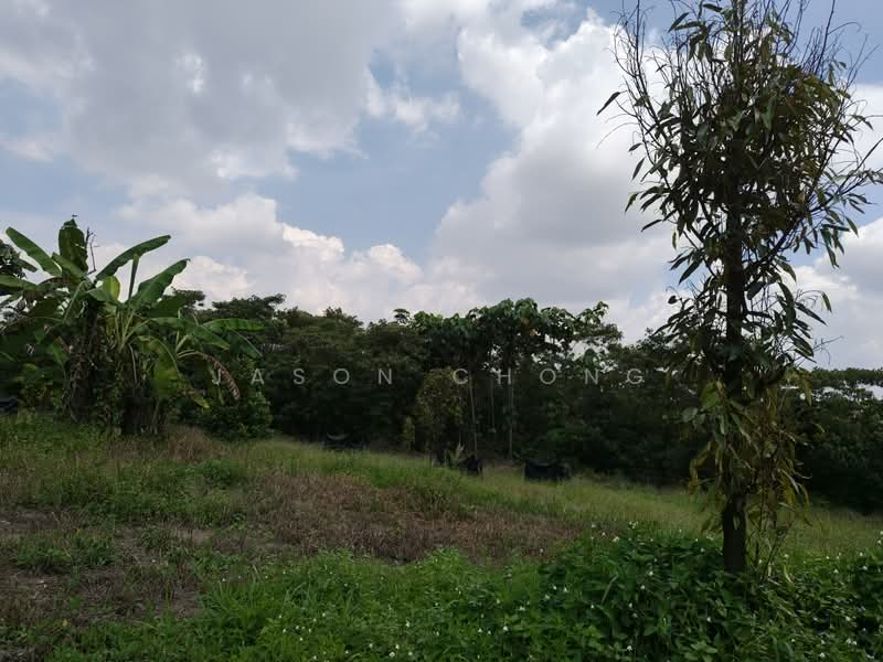 Agricultural Land for Sale in Lenggeng (Negeri Sembilan) - Jason Chong - Exterior - PropertyGuru.com.my