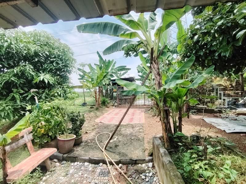 Semi-Detached House for Sale in Bangi (Selangor) - Asri Annuar - Garden - PropertyGuru.com.my
