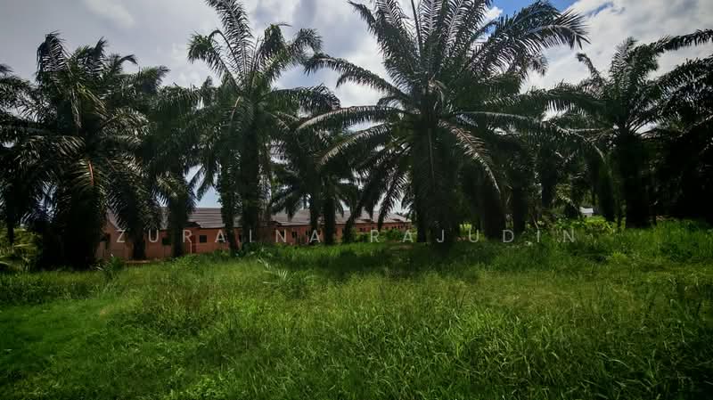 Agricultural Land for Sale in Telok Panglima Garang (Selangor) - Zuraina Rajudin - Exterior - PropertyGuru.com.my