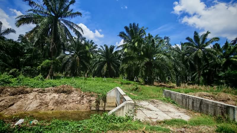Agricultural Land for Sale in Telok Panglima Garang (Selangor) - Zuraina Rajudin - Exterior - PropertyGuru.com.my