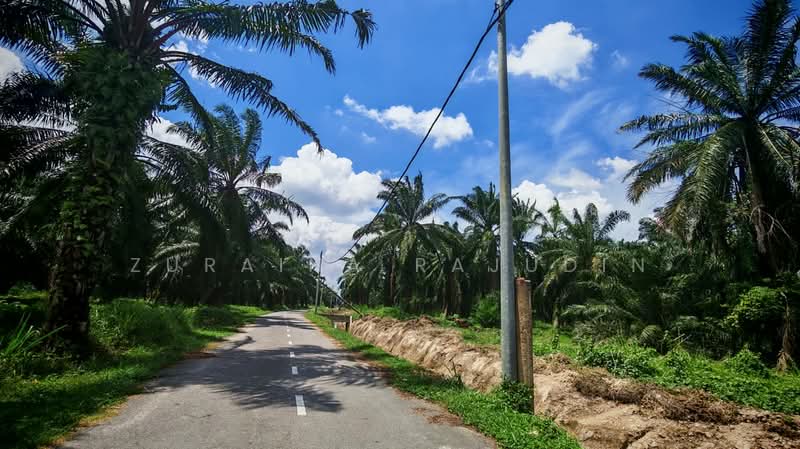 Agricultural Land for Sale in Telok Panglima Garang (Selangor) - Zuraina Rajudin - Exterior - PropertyGuru.com.my