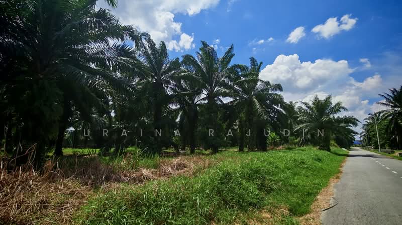 Agricultural Land for Sale in Telok Panglima Garang (Selangor) - Zuraina Rajudin - Exterior - PropertyGuru.com.my