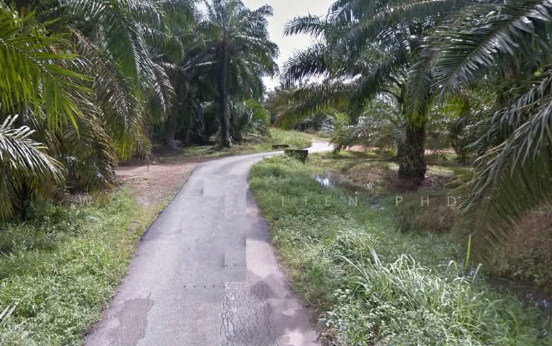Agricultural Land for Sale in Jeram (Selangor) - Wong Ye Lien PhD - Exterior - PropertyGuru.com.my