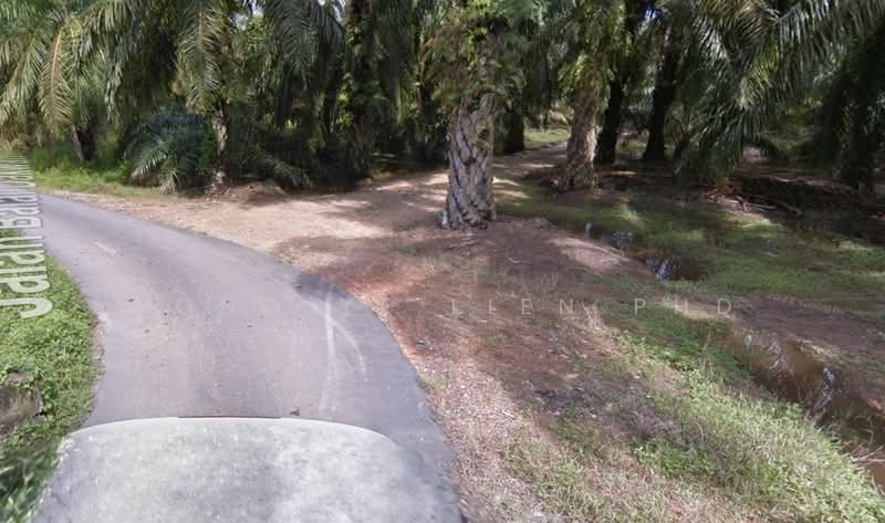 Agricultural Land for Sale in Jeram (Selangor) - Wong Ye Lien PhD - PropertyGuru.com.my