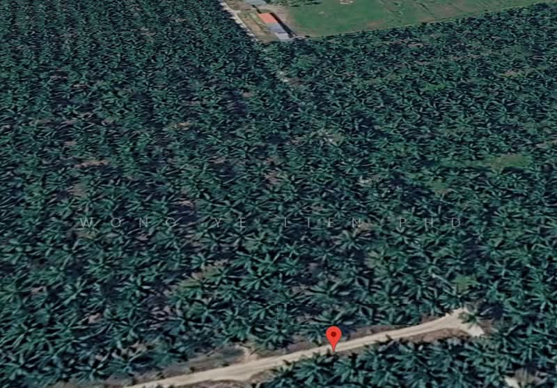 Agricultural Land for Sale in Jeram (Selangor) - Wong Ye Lien PhD - PropertyGuru.com.my
