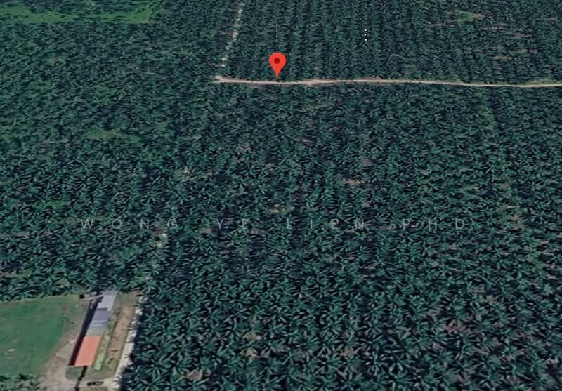 Agricultural Land for Sale in Jeram (Selangor) - Wong Ye Lien PhD - PropertyGuru.com.my