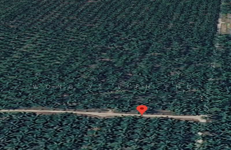 Agricultural Land for Sale in Jeram (Selangor) - Wong Ye Lien PhD - PropertyGuru.com.my