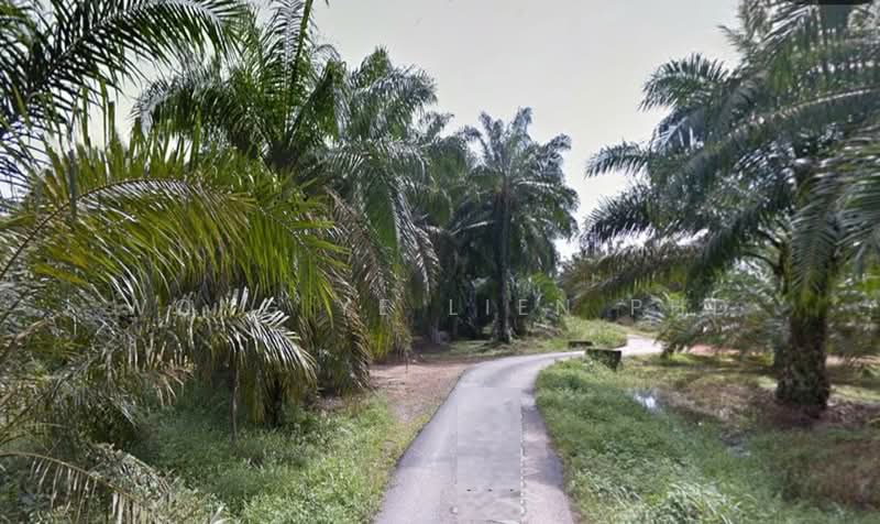 Agricultural Land for Sale in Jeram (Selangor) - Wong Ye Lien PhD - Exterior - PropertyGuru.com.my