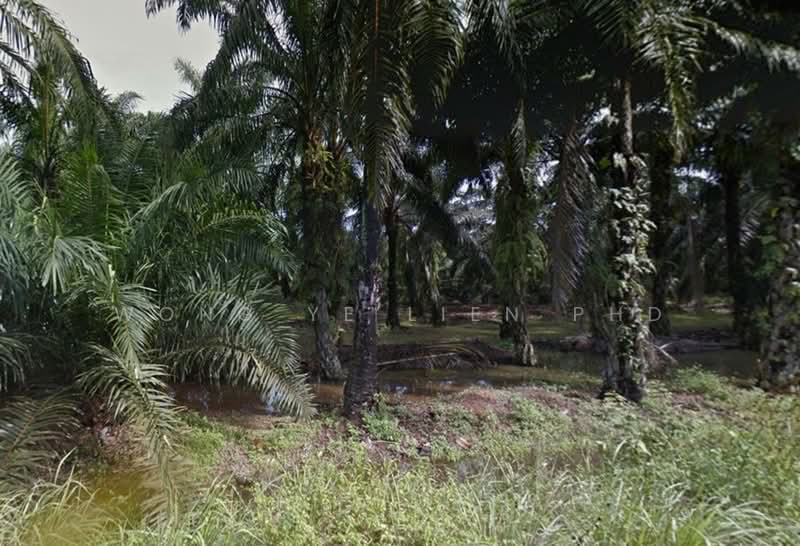 Agricultural Land for Sale in Jeram (Selangor) - Wong Ye Lien PhD - Exterior - PropertyGuru.com.my