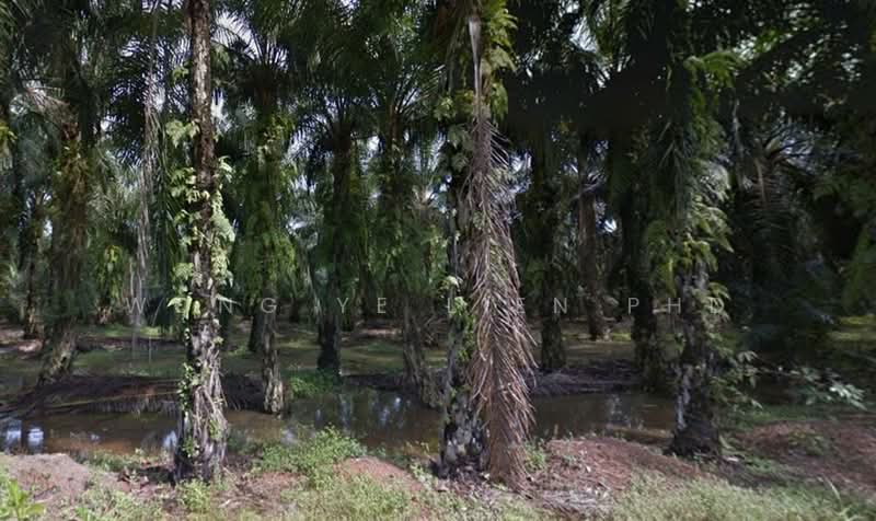 Agricultural Land for Sale in Jeram (Selangor) - Wong Ye Lien PhD - PropertyGuru.com.my