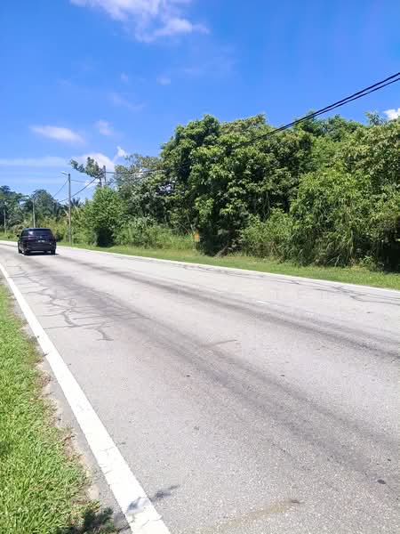 Agricultural Land for Sale in Bentong (Pahang) - Leng Eng Teh - PropertyGuru.com.my
