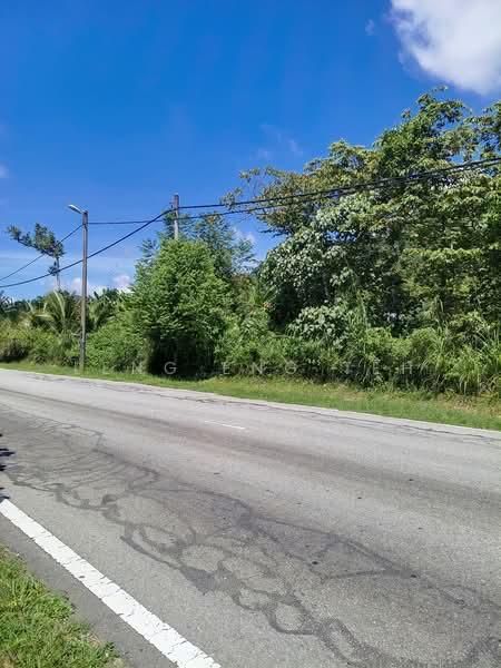 Agricultural Land for Sale in Bentong (Pahang) - Leng Eng Teh - PropertyGuru.com.my