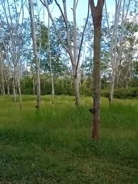 Tanah Pertanian untuk Dijual di Segamat (Johor) - Kelly Wai - Garden - PropertyGuru.com.my