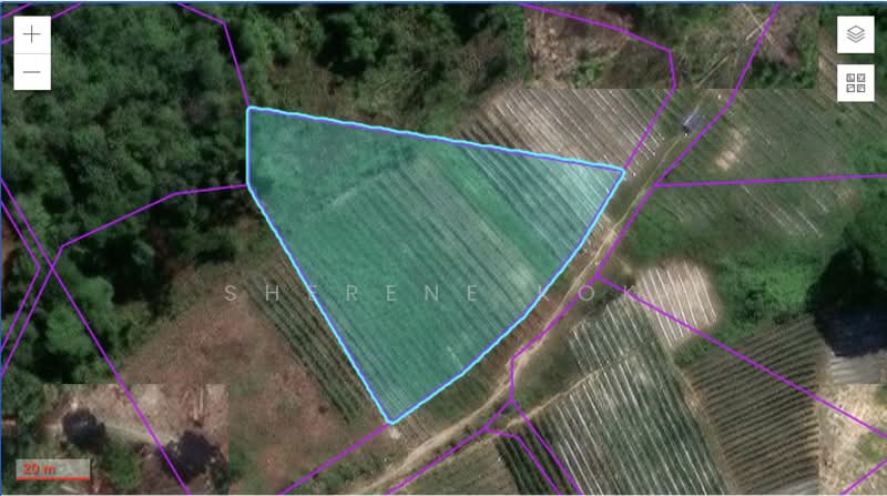 Tanah Pertanian untuk Dijual di Stakan (Kuching) - Sherene Kok - PropertyGuru.com.my