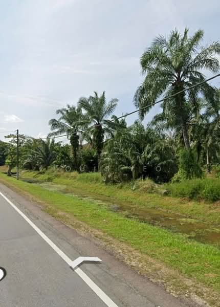 Agricultural Land for Sale in Pontian (Johor) - Louis Yeo - Exterior - PropertyGuru.com.my