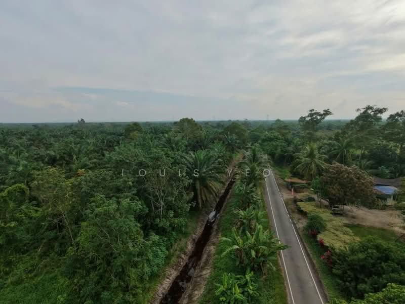 Agricultural Land for Sale in Pontian (Johor) - Louis Yeo - Exterior - PropertyGuru.com.my