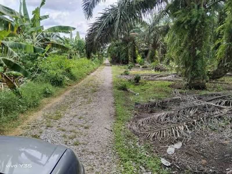 Agricultural Land for Sale in Pontian (Johor) - Louis Yeo - Exterior - PropertyGuru.com.my