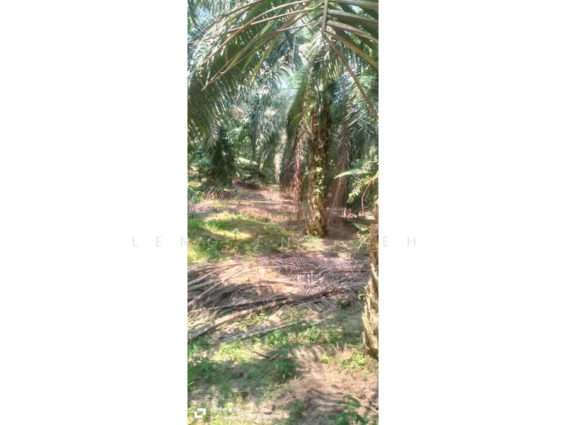 Agricultural Land for Sale in Karak (Pahang) - Leng Eng Teh - PropertyGuru.com.my