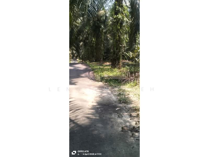 Agricultural Land for Sale in Karak (Pahang) - Leng Eng Teh - PropertyGuru.com.my