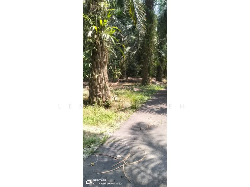 Agricultural Land for Sale in Karak (Pahang) - Leng Eng Teh - PropertyGuru.com.my