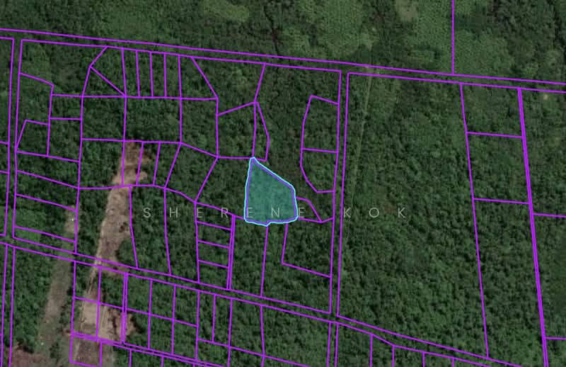 Tanah Pertanian untuk Dijual di Matang (Kuching) - Sherene Kok - PropertyGuru.com.my