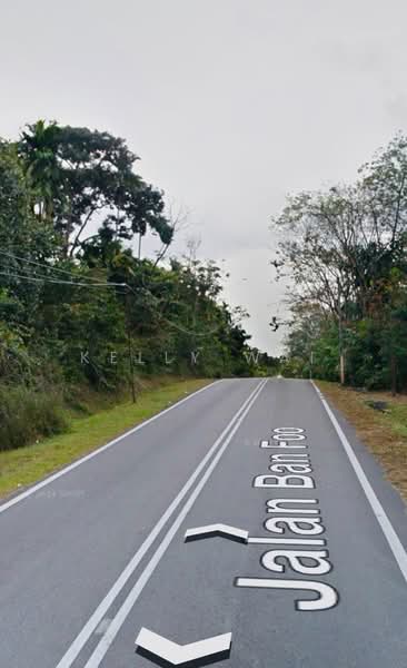 Agricultural Land for Sale in Kampung Baru Ban Foo (Ulu Tiram) - Kelly Wai - PropertyGuru.com.my