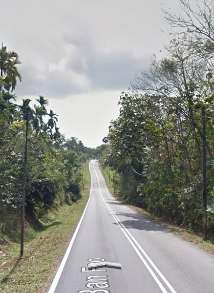 Agricultural Land for Sale in Kampung Baru Ban Foo (Ulu Tiram) - Kelly Wai - Exterior - PropertyGuru.com.my