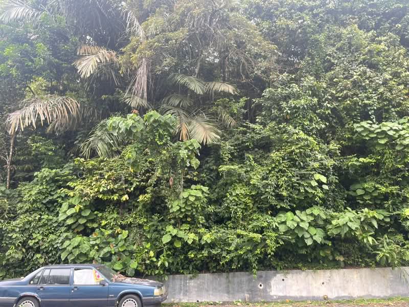 Tanah Kediaman untuk Dijual di Ukay Heights (Ampang) - Corliss Tan SY - PropertyGuru.com.my