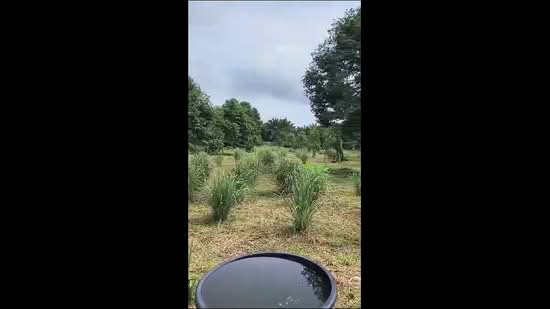 Tanah Pertanian untuk Dijual di Kayu Ara Pasong (Ayer Baloi) - Mindy Lee - PropertyGuru.com.my