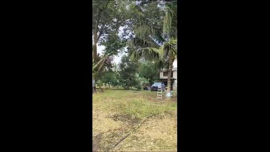 Tanah Pertanian untuk Dijual di Kayu Ara Pasong (Ayer Baloi) - Mindy Lee - PropertyGuru.com.my