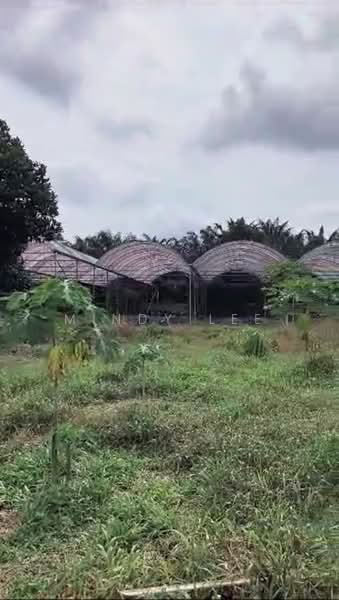 Tanah Pertanian untuk Dijual di Kayu Ara Pasong (Ayer Baloi) - Mindy Lee - Exterior - PropertyGuru.com.my