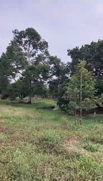 Tanah Pertanian untuk Dijual di Kayu Ara Pasong (Ayer Baloi) - Mindy Lee - Garden - PropertyGuru.com.my