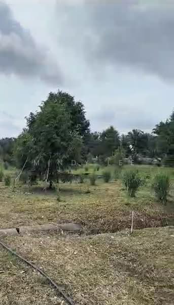 Tanah Pertanian untuk Dijual di Kayu Ara Pasong (Ayer Baloi) - Mindy Lee - Garden - PropertyGuru.com.my