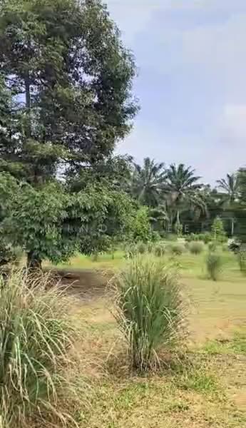 Tanah Pertanian untuk Dijual di Kayu Ara Pasong (Ayer Baloi) - Mindy Lee - Garden - PropertyGuru.com.my
