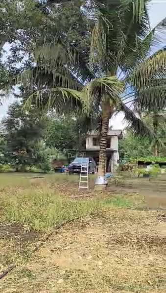Tanah Pertanian untuk Dijual di Kayu Ara Pasong (Ayer Baloi) - Mindy Lee - Exterior - PropertyGuru.com.my