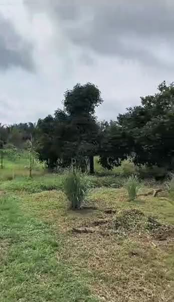 Tanah Pertanian untuk Dijual di Kayu Ara Pasong (Ayer Baloi) - Mindy Lee - Garden - PropertyGuru.com.my