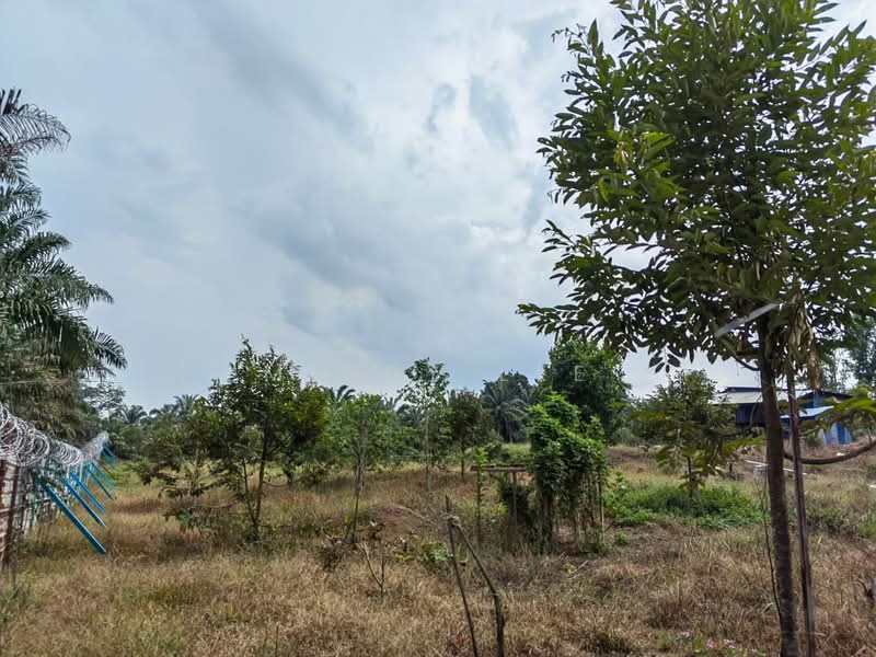 Tanah Pertanian untuk Dijual di Pekan Nanas (Johor) - Mindy Lee - Exterior - PropertyGuru.com.my