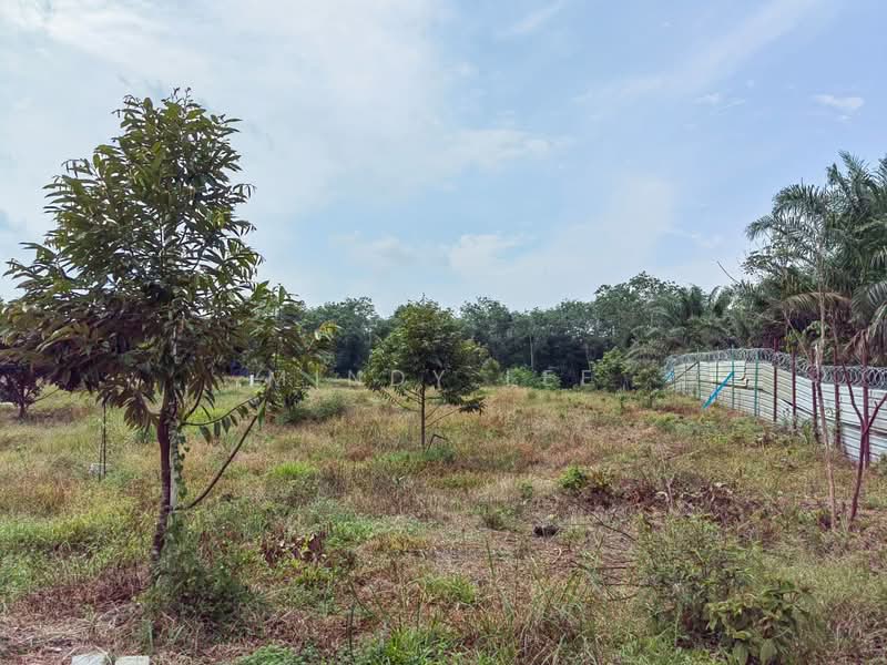 Tanah Pertanian untuk Dijual di Pekan Nanas (Johor) - Mindy Lee - Exterior - PropertyGuru.com.my