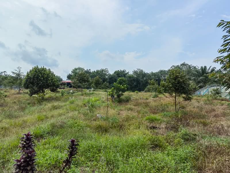 Tanah Pertanian untuk Dijual di Pekan Nanas (Johor) - Mindy Lee - Exterior - PropertyGuru.com.my