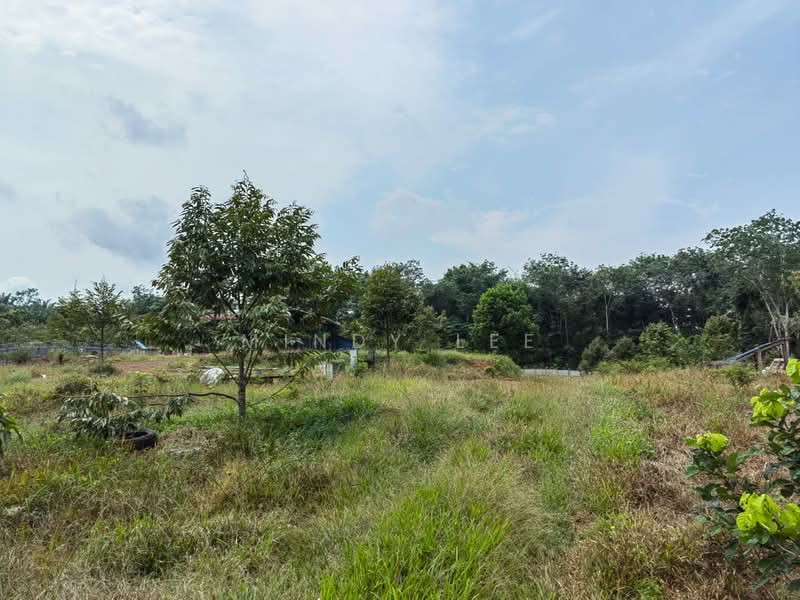 Tanah Pertanian untuk Dijual di Pekan Nanas (Johor) - Mindy Lee - Exterior - PropertyGuru.com.my