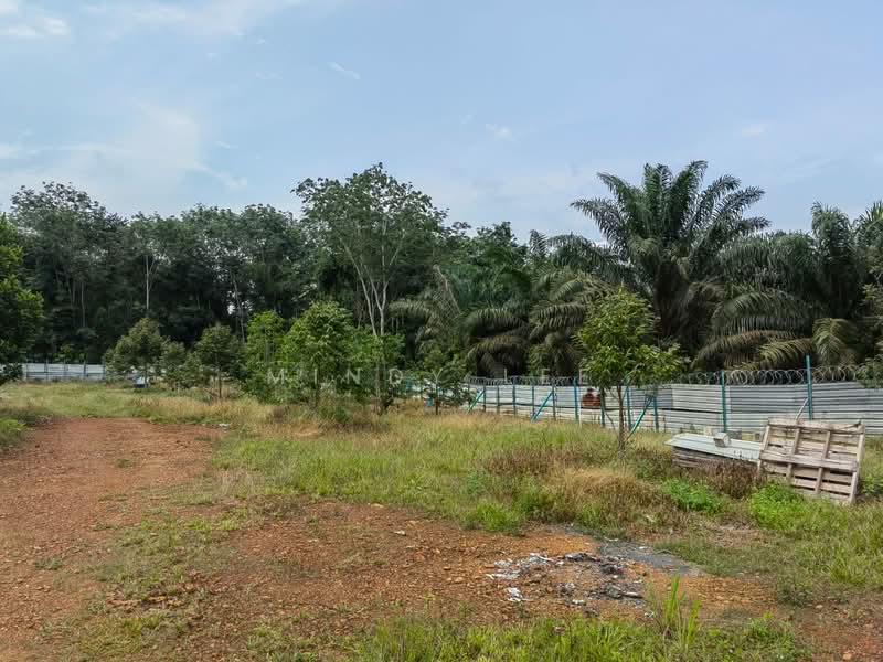 Tanah Pertanian untuk Dijual di Pekan Nanas (Johor) - Mindy Lee - Exterior - PropertyGuru.com.my