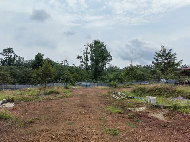 Tanah Pertanian untuk Dijual di Pekan Nanas (Johor) - Mindy Lee - Exterior - PropertyGuru.com.my