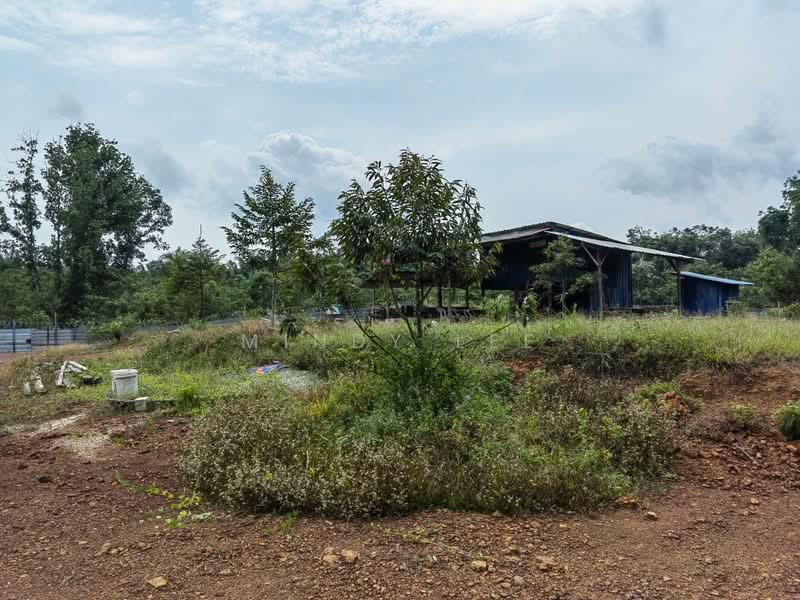 Tanah Pertanian untuk Dijual di Pekan Nanas (Johor) - Mindy Lee - Exterior - PropertyGuru.com.my