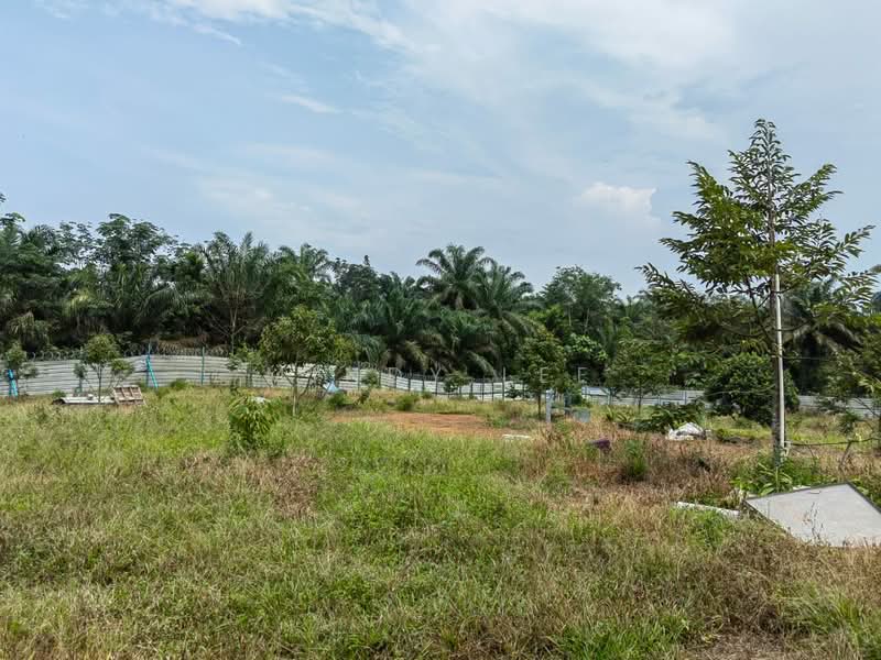 Tanah Pertanian untuk Dijual di Pekan Nanas (Johor) - Mindy Lee - Exterior - PropertyGuru.com.my