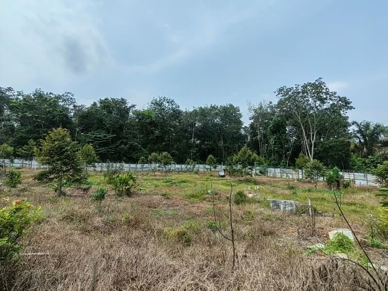 Tanah Pertanian untuk Dijual di Pekan Nanas (Johor) - Mindy Lee - Exterior - PropertyGuru.com.my