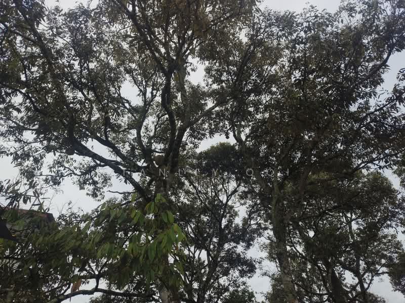 Agricultural Land for Sale in Taman Arawana (Lenggeng) - Stanley Ooi - PropertyGuru.com.my