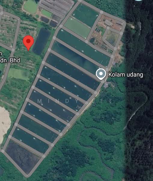 Tanah Perindustrian untuk Dijual di Pekan Nanas (Johor) - Mindy Lee - Exterior - PropertyGuru.com.my