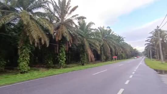 Tanah Perindustrian untuk Dijual di Langkap (Perak) - Eddie Chai - PropertyGuru.com.my